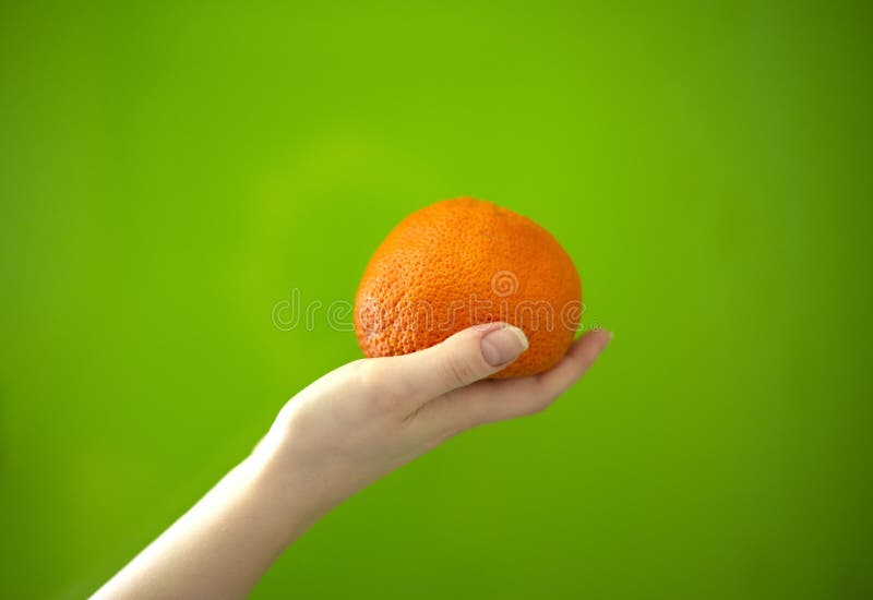 Mandarin in hand on a green background stock images Mandarin in hand on a green background stock images