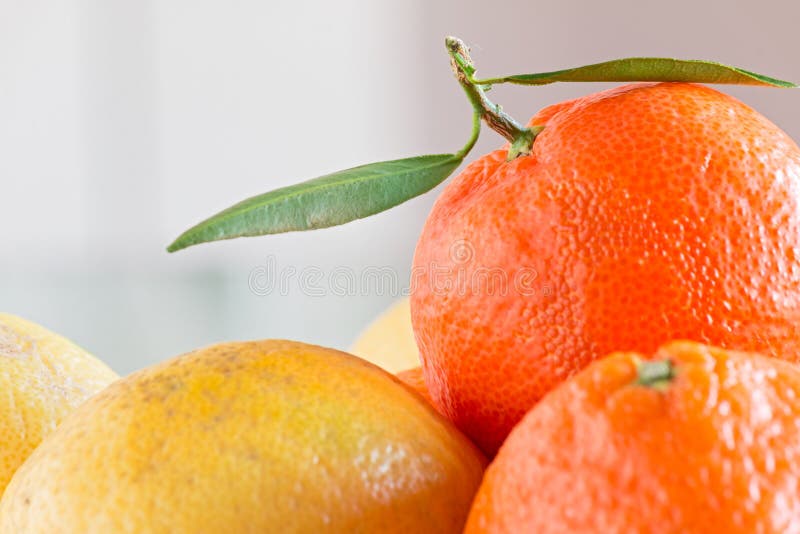 Mandarin and lemon stock image. Image of nature, natural 63640431