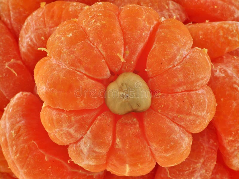 Mandarin orange stock images Mandarin orange stock images