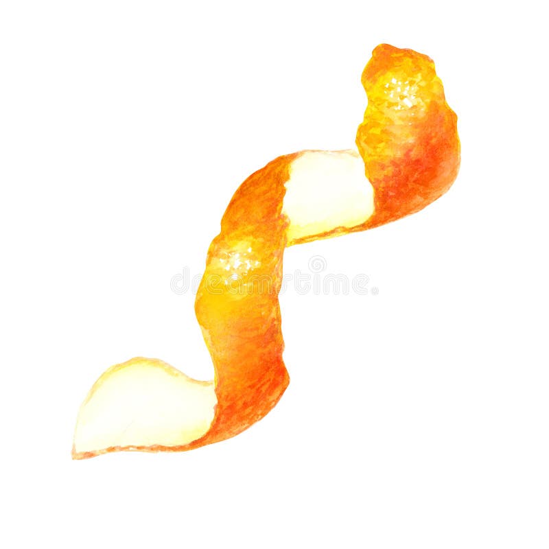 Mandarin skin watercolor citrus fruit spiral, orange peel, botanical painting
