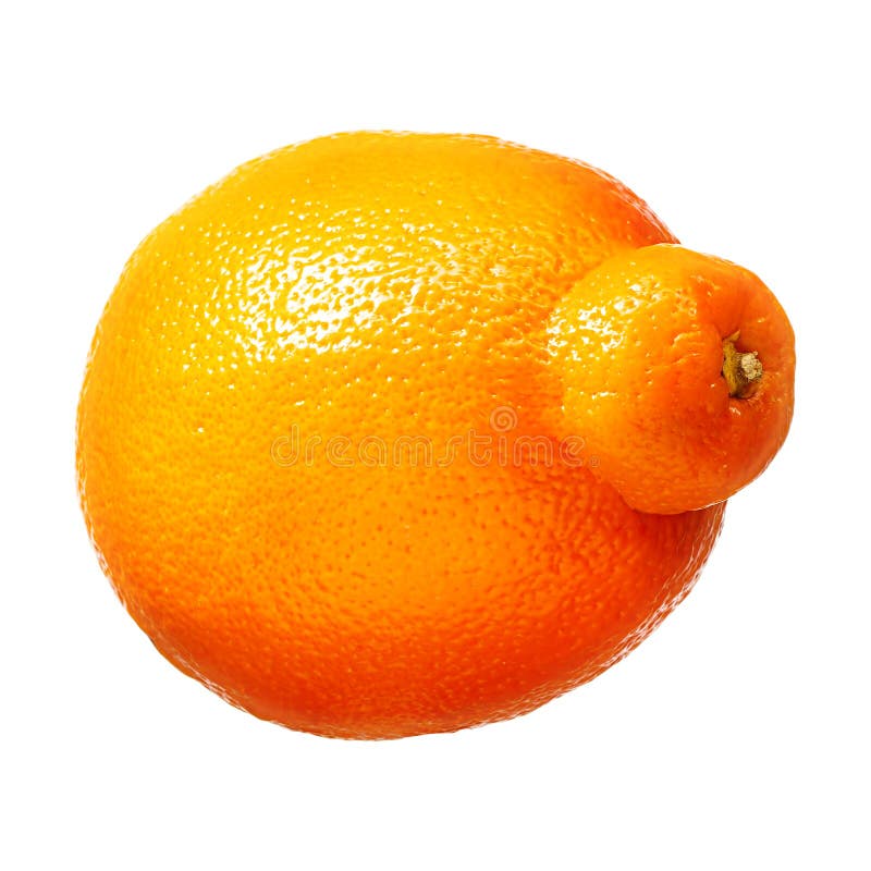 Mandarin Tangerine Citrus Fruit Isolated On White Background With