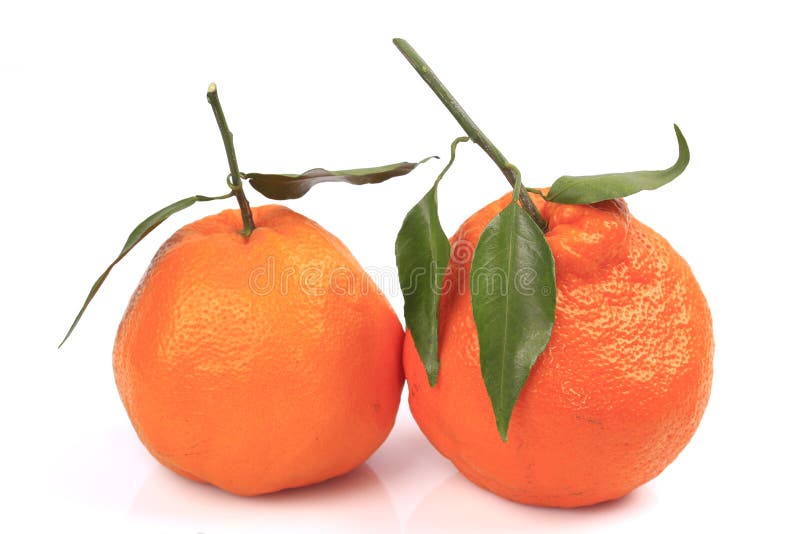 mandarin clementines mandarin clementines