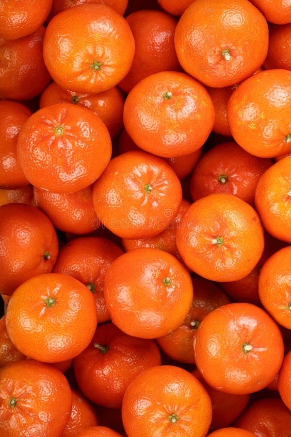 mandarin tangerine mandarin tangerine