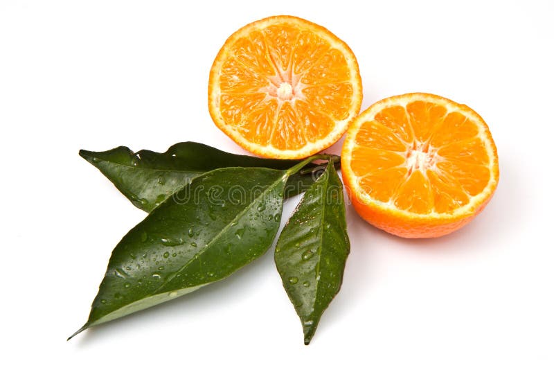 Mandarin oranges with fresh green leaves. Mandarin oranges with fresh green leaves