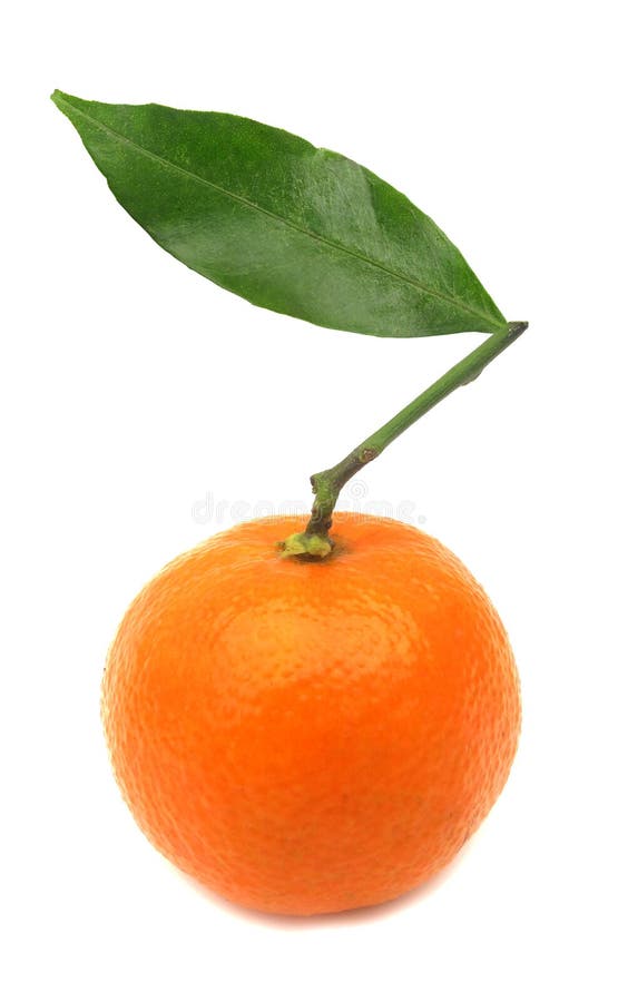 A clementine is the hesperidium of a variety of mandarin orange (Citrus reticulata), named in 1902. A clementine is an oblate, medium-sized citrus fruit. The exterior is a deep orange colour with a smooth, glossy appearance. Clementines separate easily into eight to fourteen juicy segments. They are very easy to peel, like a tangerine, but lack the tangerine's sourness and seeds. Clementines are also known as seedless tangerines, but sometimes contain seeds. A clementine is the hesperidium of a variety of mandarin orange (Citrus reticulata), named in 1902. A clementine is an oblate, medium-sized citrus fruit. The exterior is a deep orange colour with a smooth, glossy appearance. Clementines separate easily into eight to fourteen juicy segments. They are very easy to peel, like a tangerine, but lack the tangerine's sourness and seeds. Clementines are also known as seedless tangerines, but sometimes contain seeds.