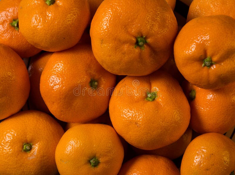 The image is full of satsuma mandarin oranges. Suitable for a background. The image is full of satsuma mandarin oranges. Suitable for a background.