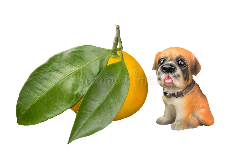 Sergey Kudryavtsev (Sergeyku) Photographer profile