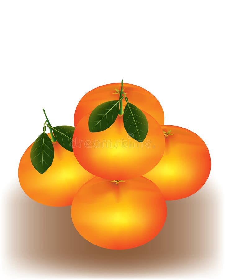 Mandarine orange