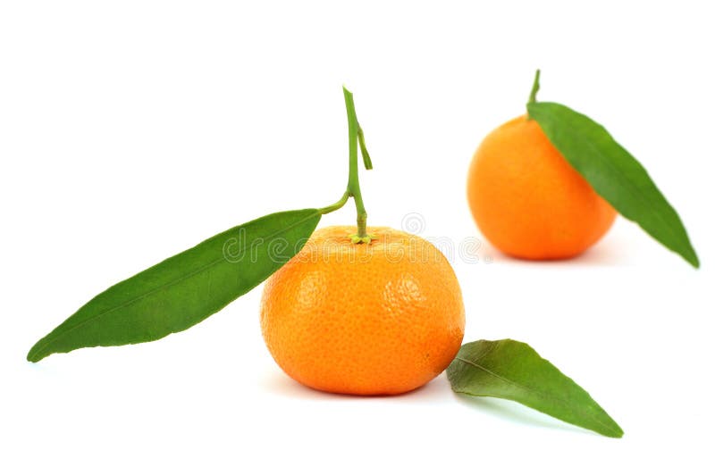 Mandarins