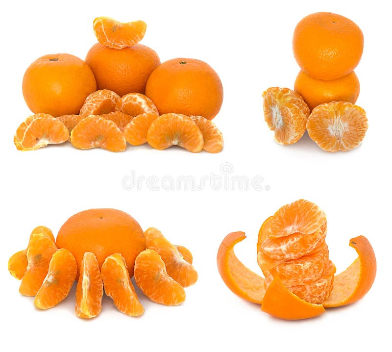 Mandarins Several Different Options on a White Background. Citrus