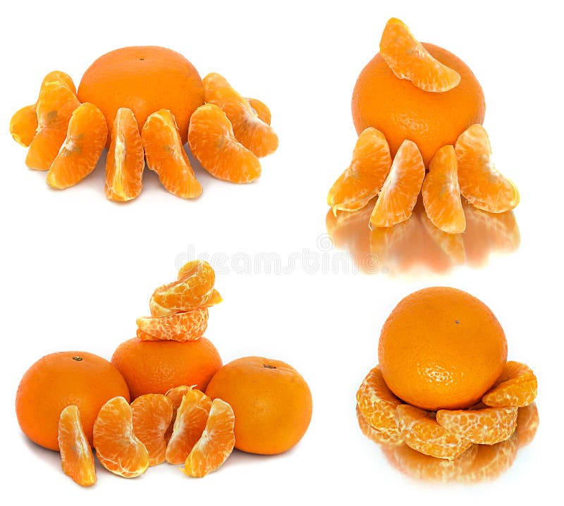 Mandarins Several Different Options on a White Background. Citrus without Background Stock Image