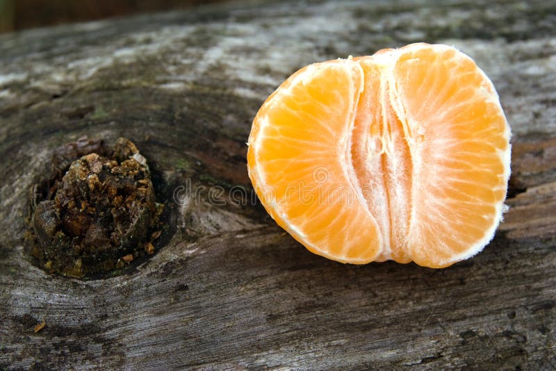 A mandarin on old wood. A mandarin on old wood