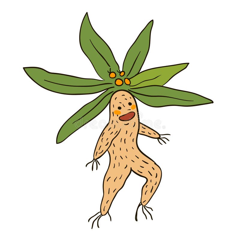 Mandrake Root Stock Illustrations – 250 Mandrake Root Stock Illustrations,  Vectors & Clipart - Dreamstime