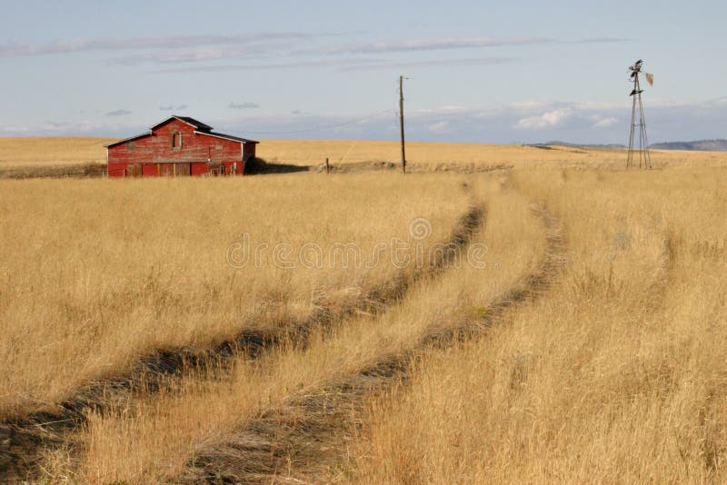 This is a seldom used pathway for people approaching the red barn in this golden field. This is a seldom used pathway for people approaching the red barn in this golden field