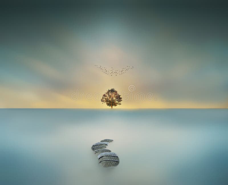 way to heaven magical big tree in waterscape long exposure landscape birds are flying in sky. way to heaven magical big tree in waterscape long exposure landscape birds are flying in sky