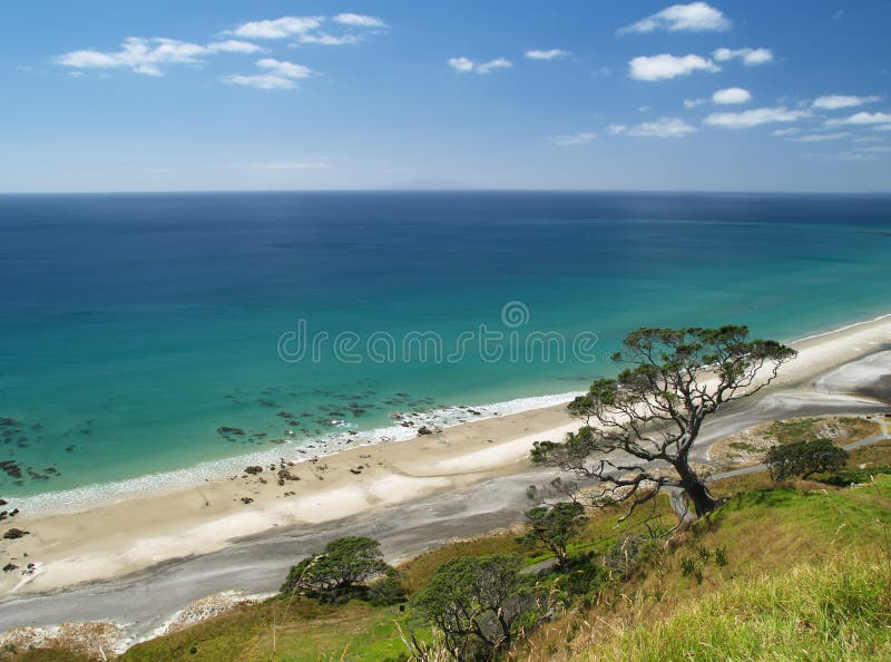 Mangawhai Heads beach