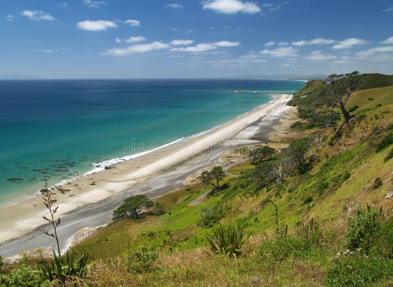 Mangawhai Heads beach stock photo. Image of hill, forest 14915868
