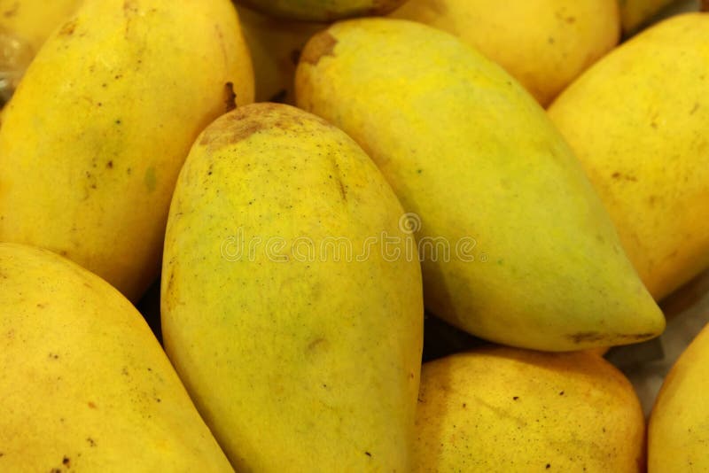 Mango