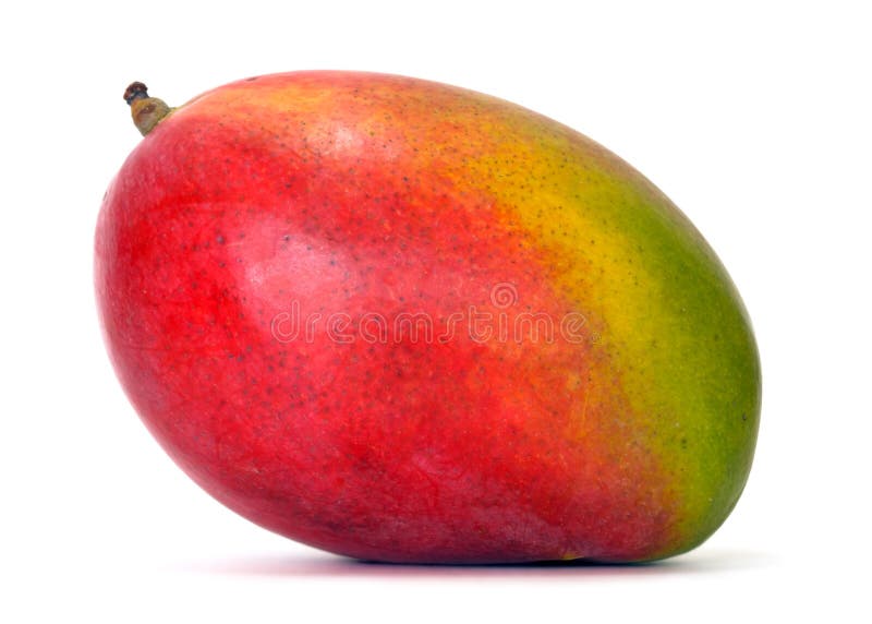 mango mango