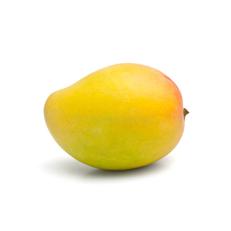 Mango royaltyfri bild