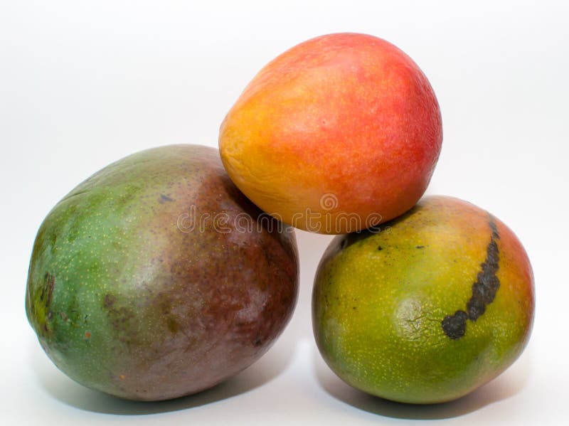 Mango citrus stock image. Image of objects, single, portion 51599353