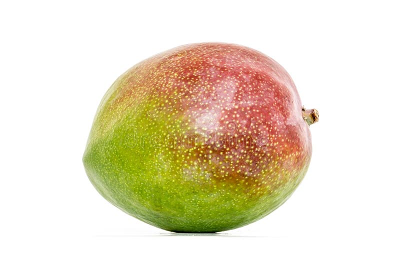 The Texture Of The Mango Tree Bark, There Are Rough Strokes Stock Image