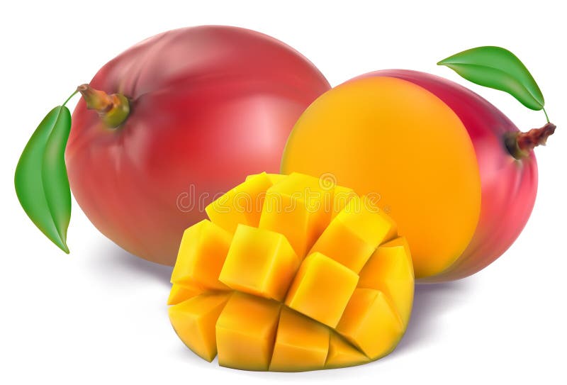 Mango con la sezione illustrazione vettoriale Mango con la sezione illustrazione vettoriale