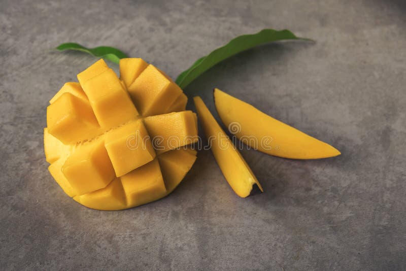 Mango leaves. stock photo. Image of green, stem, spring 32685574