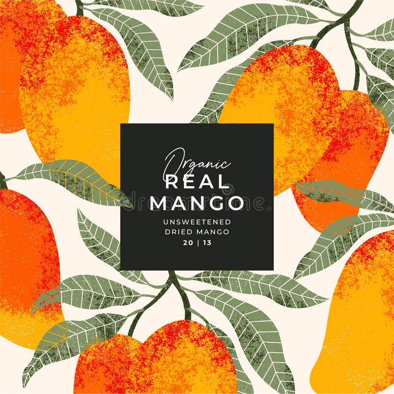 Mango Fruit Design Template. Vintage Textured Style. Mango Tree. Vector