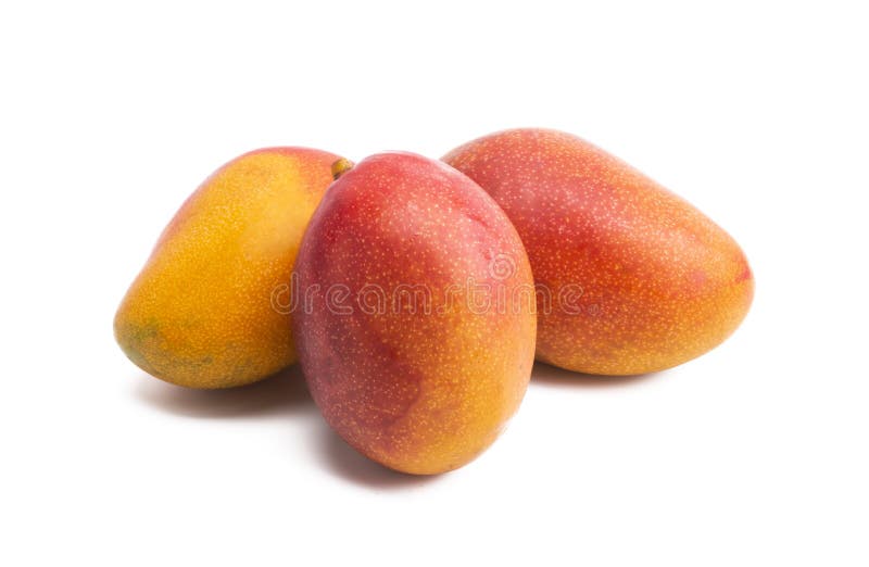 Mango fruit isolated stock photo. Image of fresh, pulp 195229322