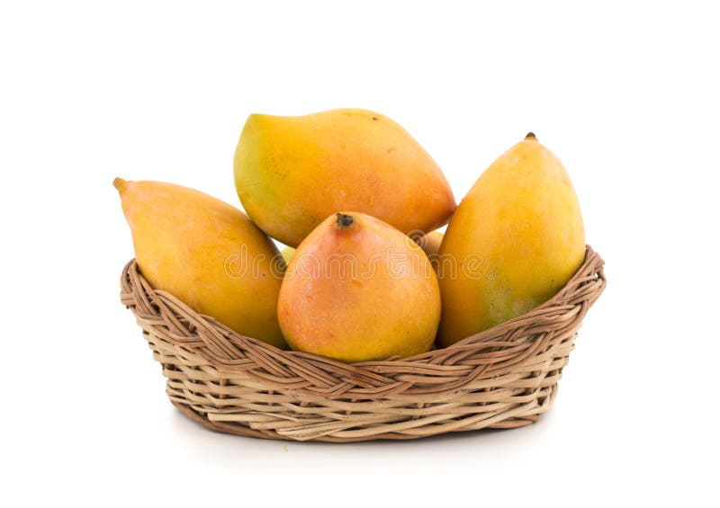 Mangoes stock photo. Image of citrus, fruit, dessert 105480214