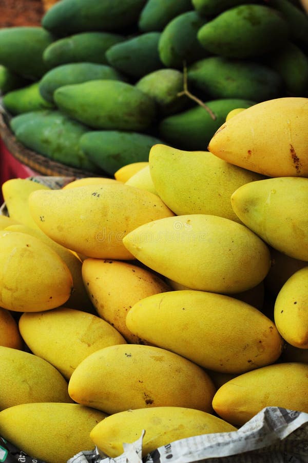 Mango fruit in the market. stock photo. Image of ripe 35206592