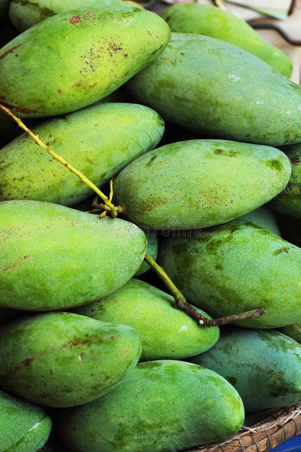 Mango fruit in the market. stock photo. Image of fresh 35206912