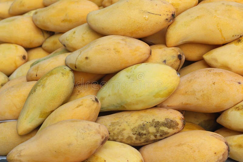 Mango fruit at the market stock image. Image of healthy 54025877