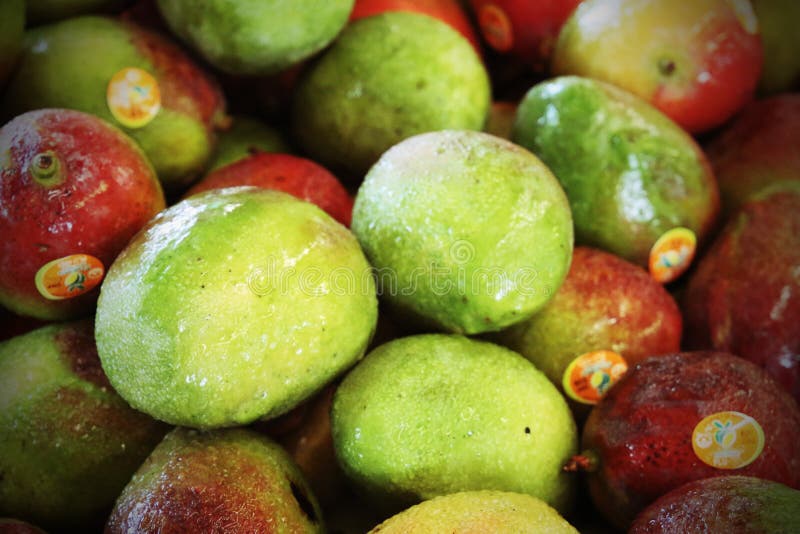 Mango Fruit for Sale at the Market Stock Photo Image of ingredients