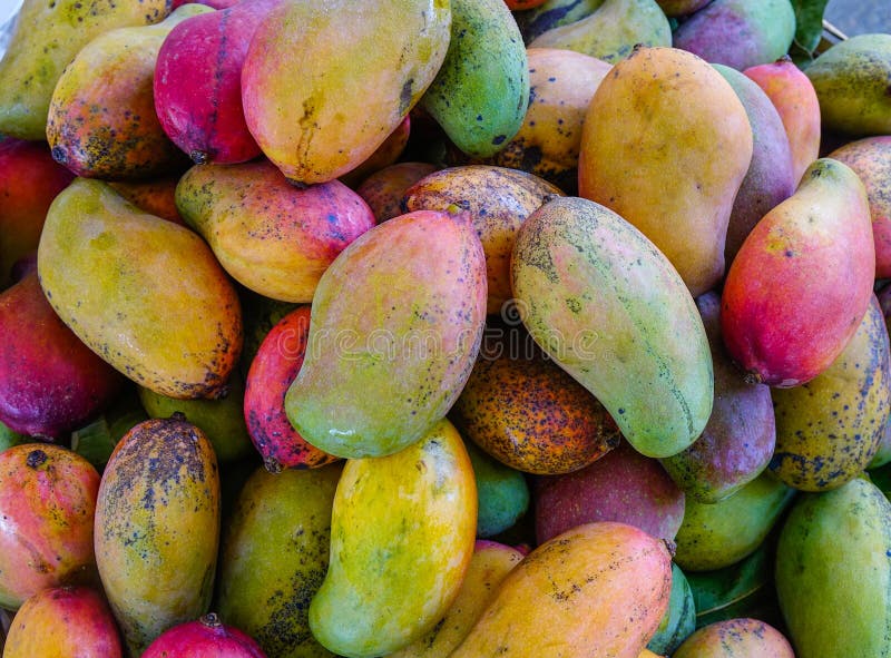 Mango Fruits for Sale at Street Market Stock Photo - Image of health ...