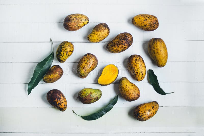 Mango för vit wood bakgrund för naturmango rå royaltyfri fotografi