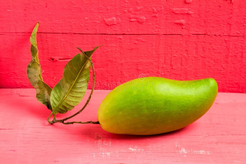 Mango Color Chartreuse. Green and Yellow. Name Yaikrom. Asian. T Stock