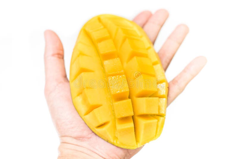 Mango in hand stock image. Image of refreshment, delicious 87650809