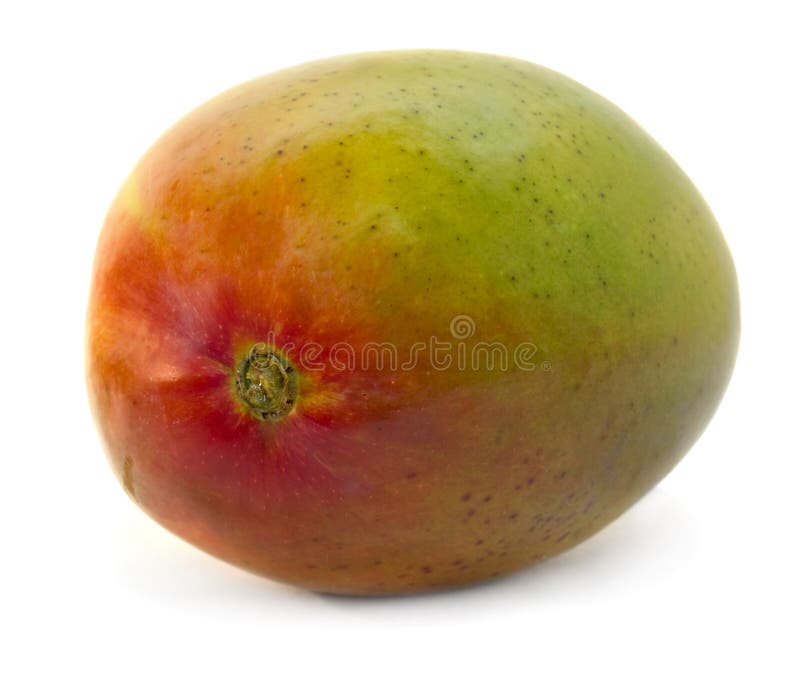 Mango isolated