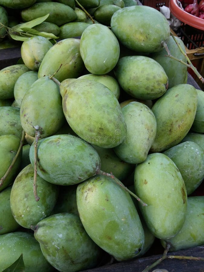 Mango stock image. Image of mangoes, mango, sale, freshmarket 50517569
