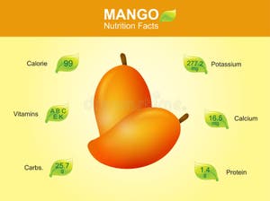 Mango Nutrition Facts Mango Fruit With Information Mango Vector Stock Vector Illustration Of