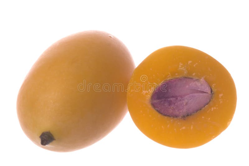 Mango Plums Isolated stock image. Image of fruit, nature - 8934583