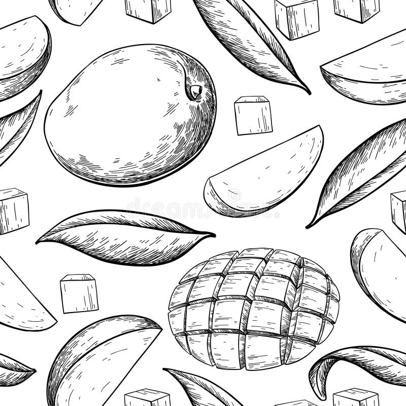 Mango seamless pattern. Vector drawing. Hand drawn tropical fruit illustration.