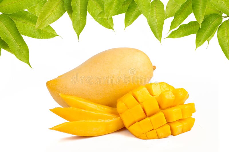 Mango slice and leaves stock photography