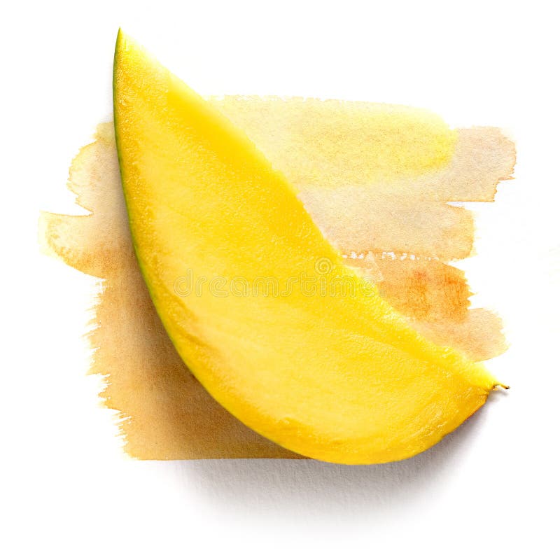Mango slice on watercolor paint stock images