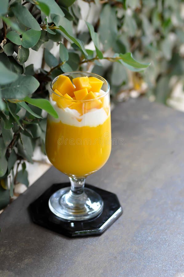 Mango Smoothie or Mango Yogurt Smoothie with Mango Stock Photo Image