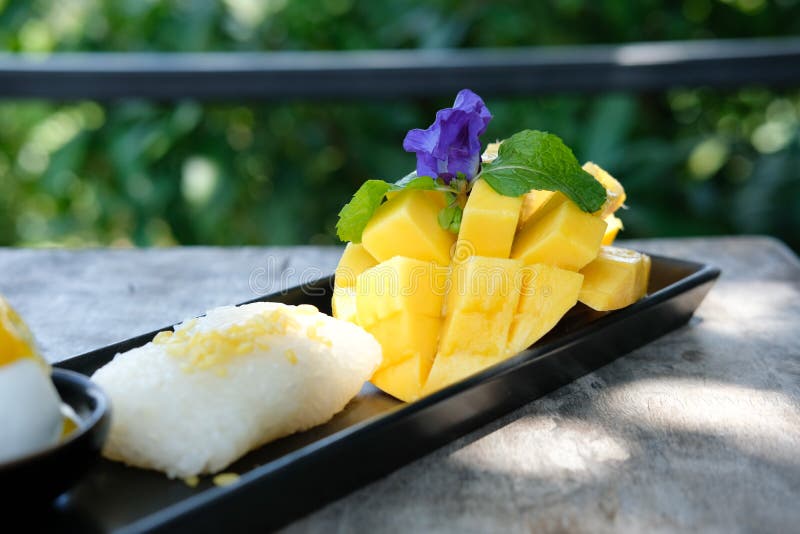 Mango sticky rice coconut milk. traditional Thai dessert royalty free stock photos Mango sticky rice coconut milk. traditional Thai dessert royalty free stock photos