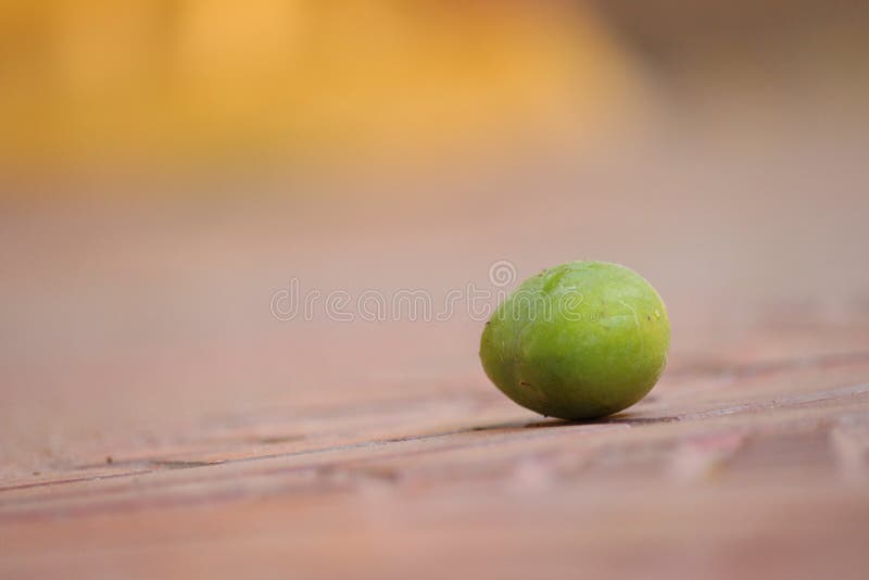 Mango on surface ground