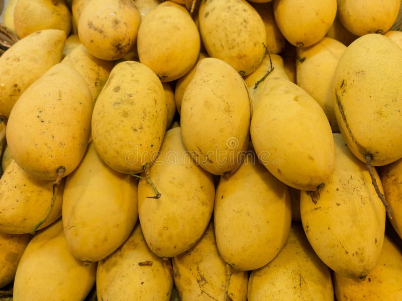 Mango from Thailand Night Market. Stock Photo Image of juicy